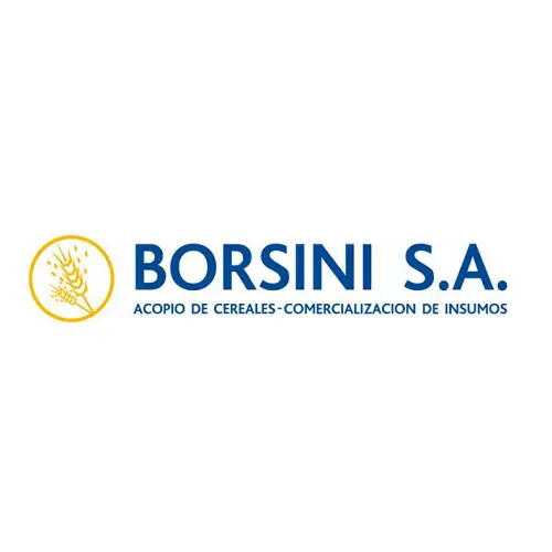 Borsini S.A.